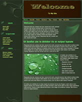 iWeb Template: Flora Theme